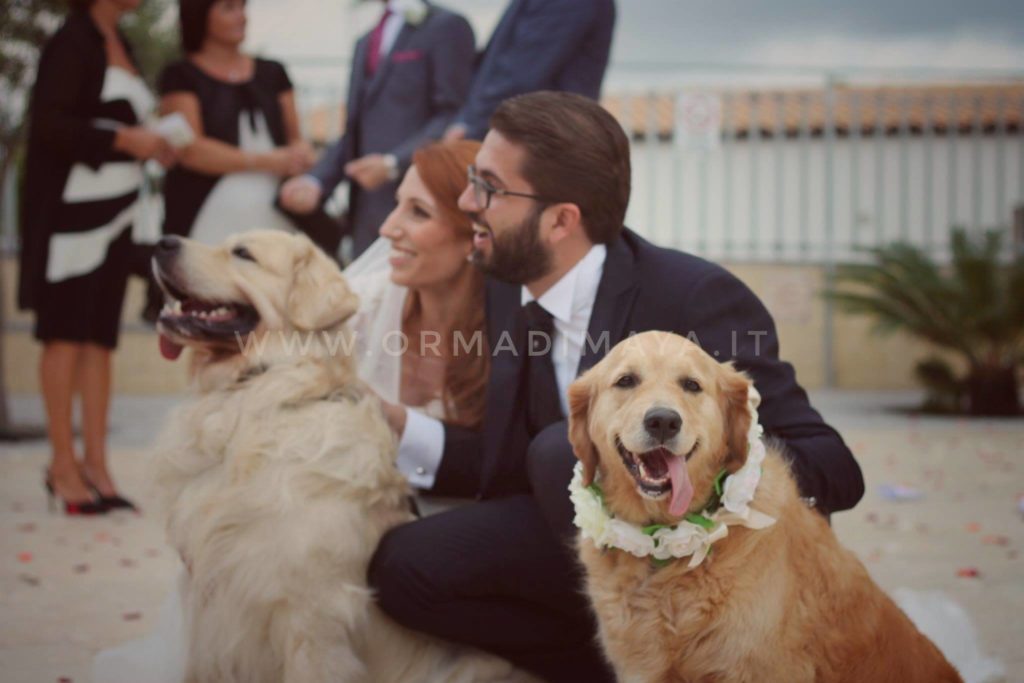 Wedding Dog Sitter - Federica e Angelo