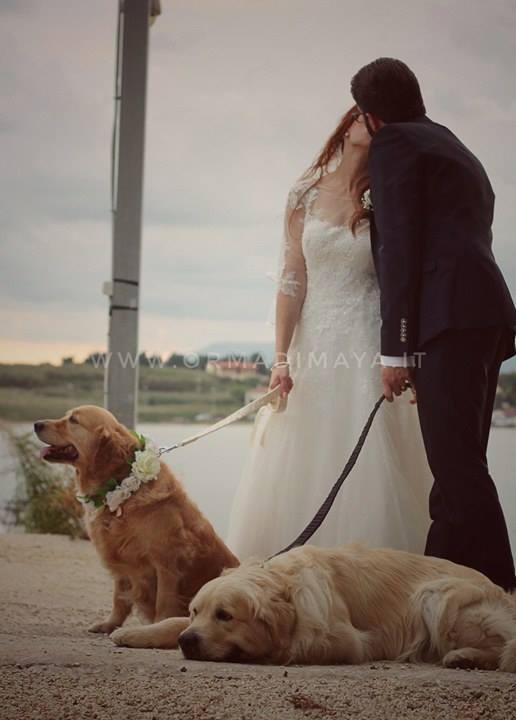 Wedding Dog Sitter - Federica e Angelo