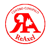 Reaxel - centro cinofilo