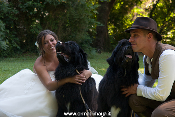 Wedding Pet Sitter - Orma Di Maya